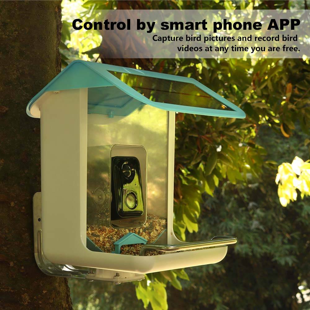 Açık Hava Yaban Hayatı Wifi Ka - Garden Camera incelemesi ve fiyatı