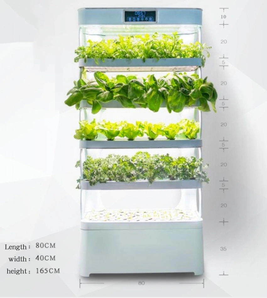 Evde Hidroponik Yetiştirme Sis - Smart Garden System incelemesi ve fiyatı