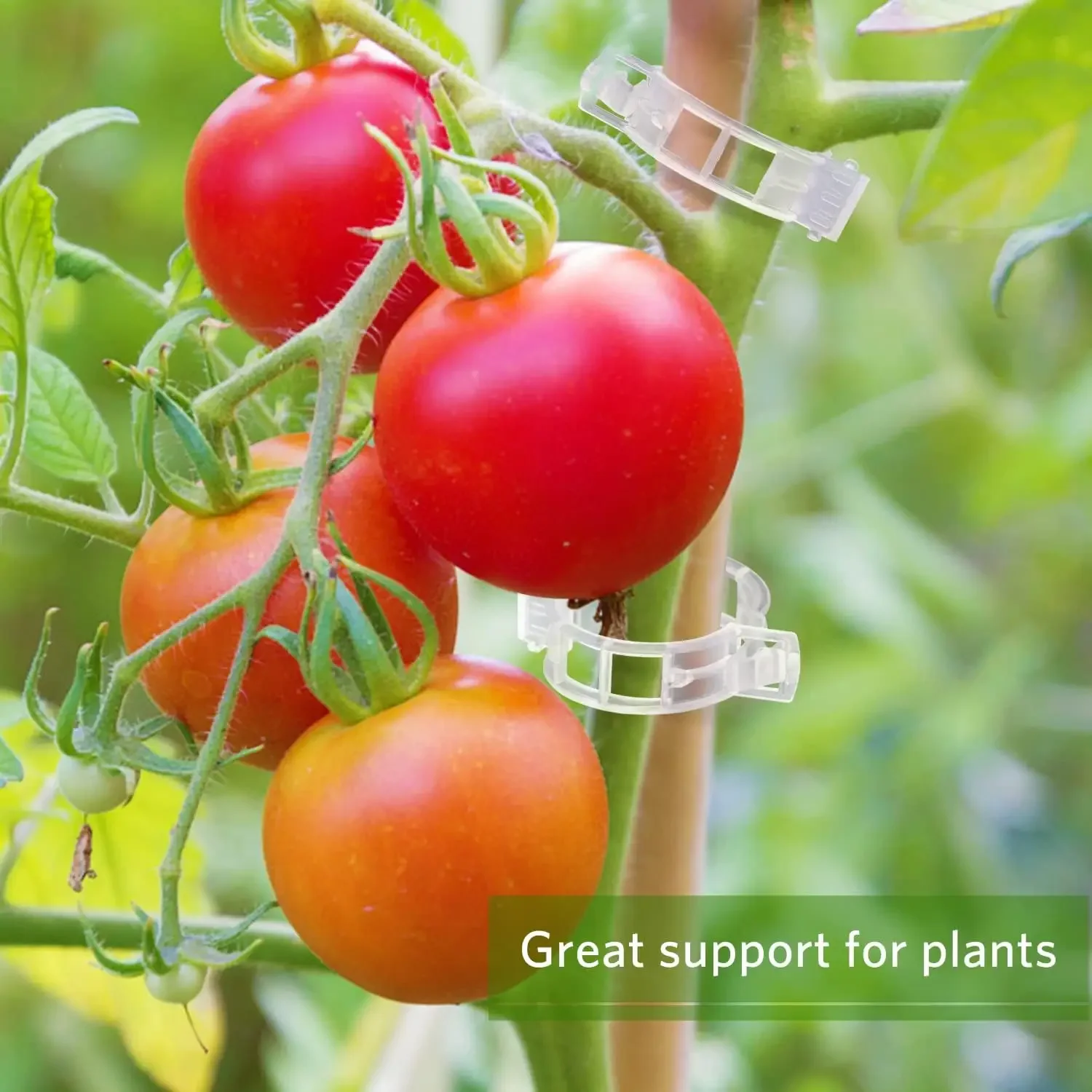 Bitki Destek Klipsleri Yeniden - Smart Garden Kit incelemesi ve fiyatı