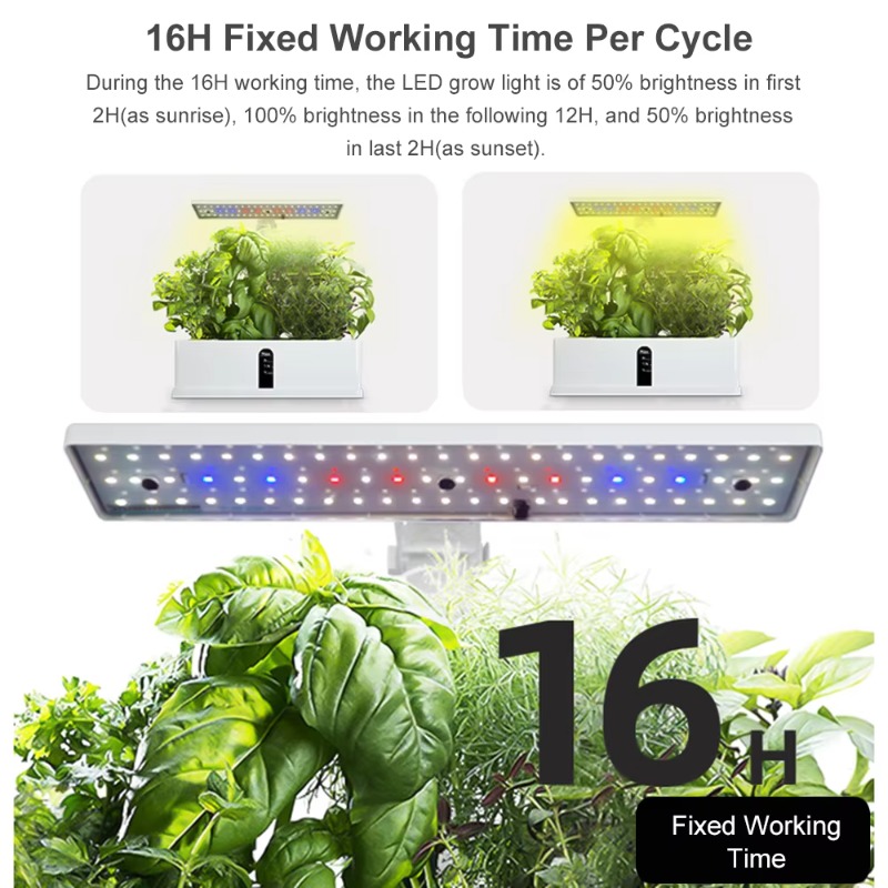 9 Bölmeli Akıllı Hidroponik Ye - Hydroponic Grow Pod incelemesi ve fiyatı