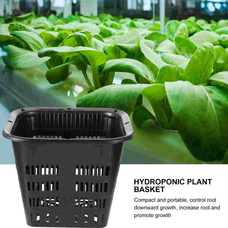 6 Adet Hidroponik Yetiştirme S - Hydroponic Grow Pod incelemesi ve fiyatı